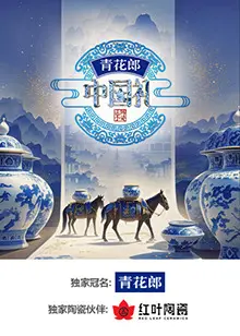 《2024中国礼·陶瓷季》全集高清完整版在线观看与剧情解析