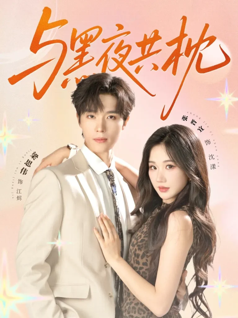 《与黑夜共枕》全集高清完整版在线观看与剧情解析