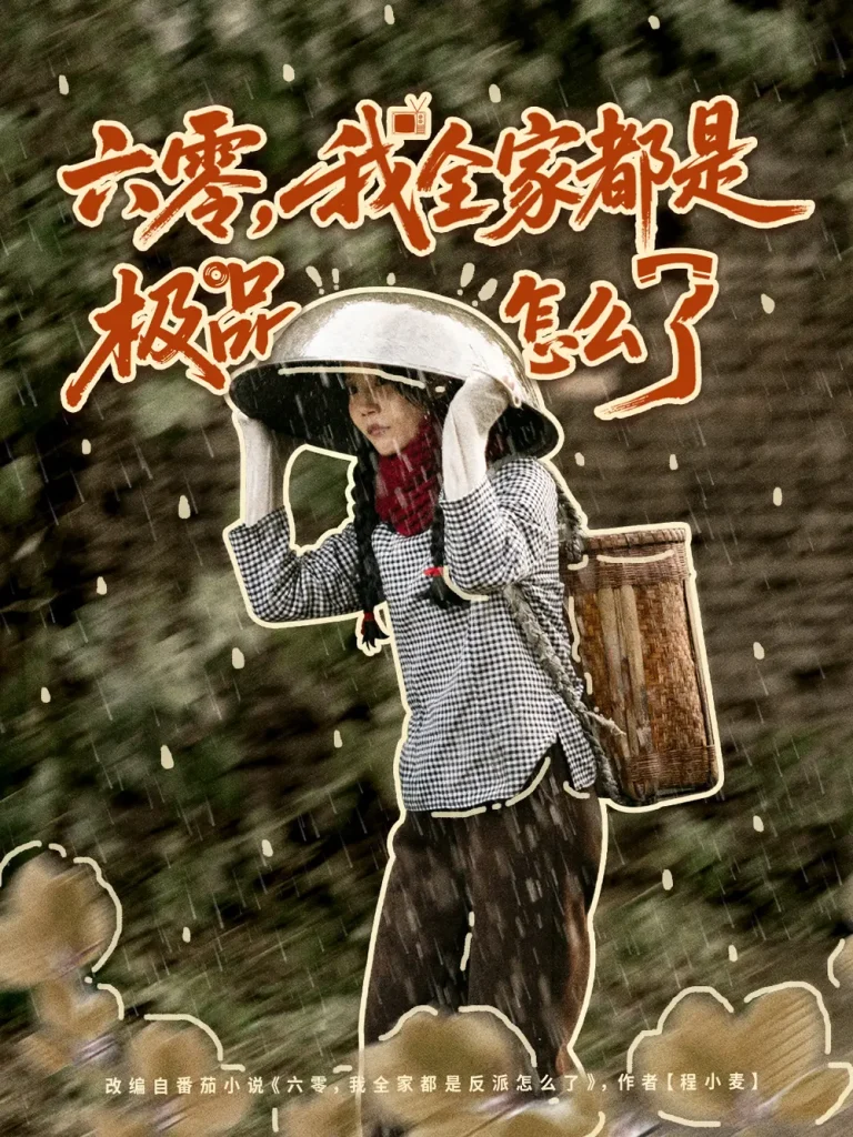 《六零，我全家都是极品怎么了》全集高清完整版在线观看与剧情解析