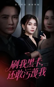 刷我黑卡还敢污蔑我