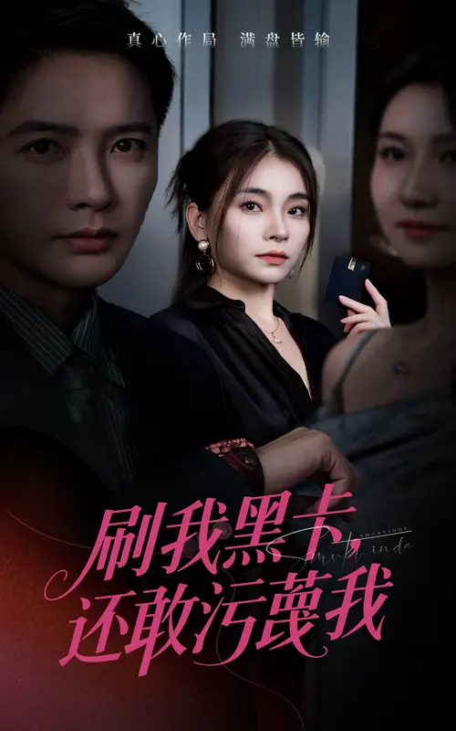 《刷我黑卡还敢污蔑我》全集高清完整版在线观看与剧情解析