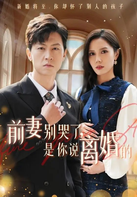 《前妻别哭了是你说离婚的》全集高清完整版在线观看与剧情解析