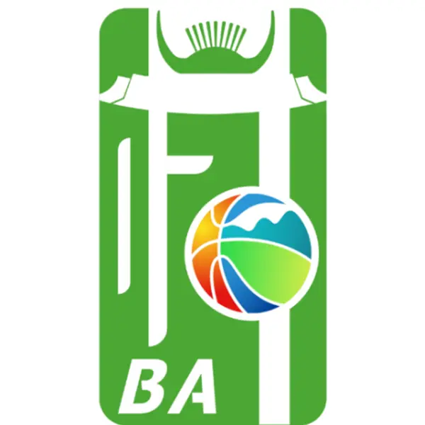 《和美乡村篮球赛 DAY6培丰会场20251101》全集高清完整版在线观看与剧情解析