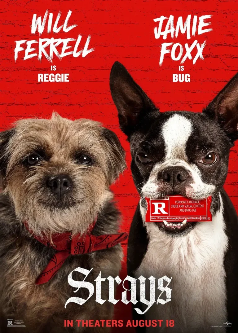 《复仇狗联盟[电影解说]》全集高清完整版在线观看与剧情解析