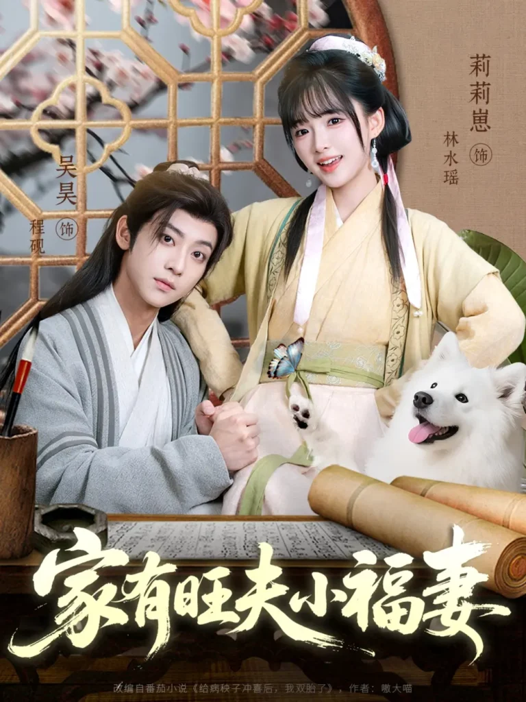 《家有旺夫小福妻》全集高清完整版在线观看与剧情解析