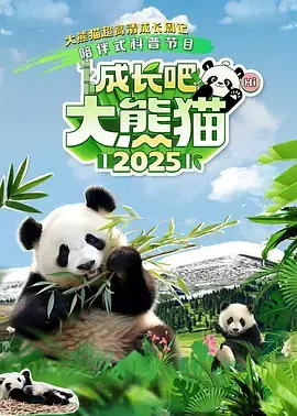 《成长吧！大熊猫2025》全集高清完整版在线观看与剧情解析