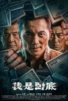 《我是卧底》全集高清完整版在线观看与剧情解析