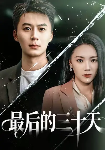《最后的三十天》全集高清完整版在线观看与剧情解析