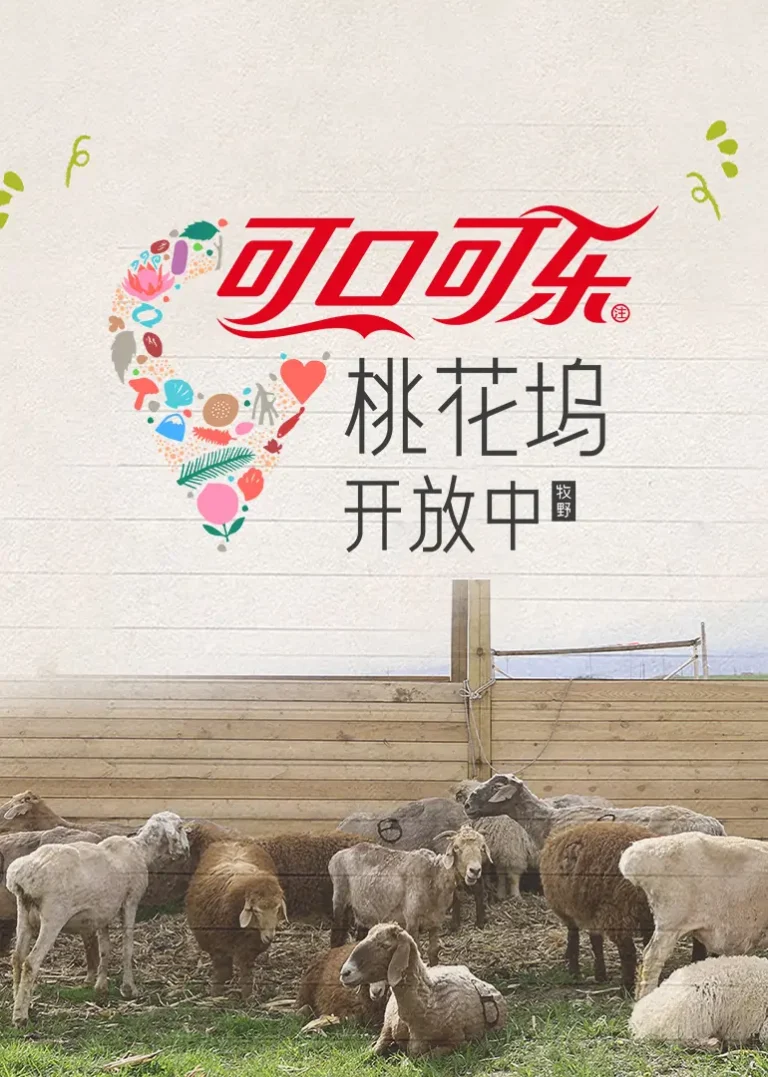 《桃花坞开放中第4季》全集高清完整版在线观看与剧情解析