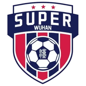 武汉城市足球超级联赛高校组 武汉城市职业学院0.4武汉体育学院20251107