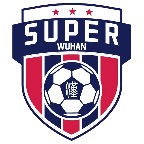 《武汉城市足球超级联赛高校组 武汉城市职业学院0.4武汉体育学院20251107》全集高清完整版在线观看与剧情解析