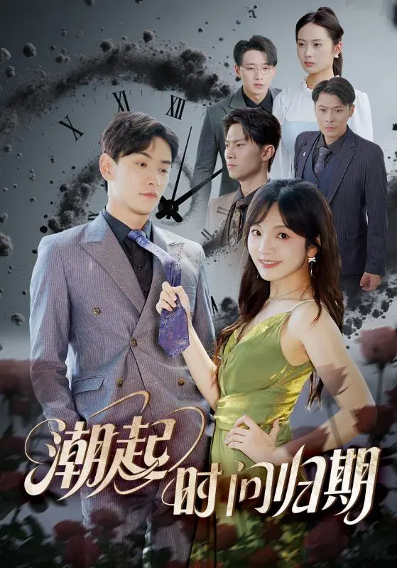 《潮起时问归期》全集高清完整版在线观看与剧情解析