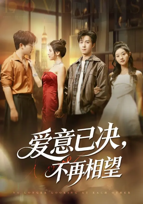 《爱意已决不再相望》全集高清完整版在线观看与剧情解析