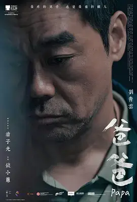 《爸爸2024[电影解说]》全集高清完整版在线观看与剧情解析