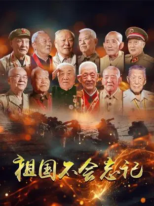 《祖国不会忘记》全集高清完整版在线观看与剧情解析