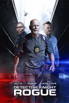 《警探奈特：侠盗2022[电影解说]》全集高清完整版在线观看与剧情解析