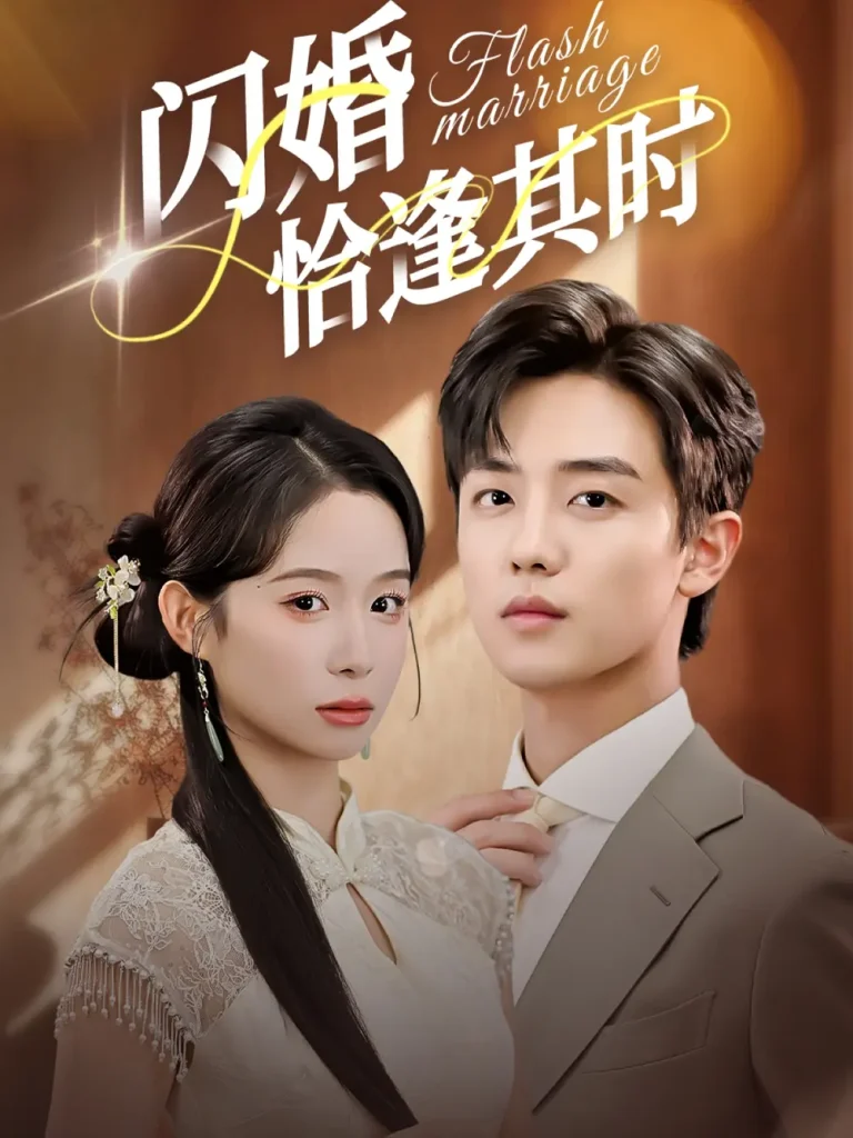 《闪婚恰逢其时》全集高清完整版在线观看与剧情解析