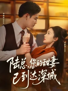 陆总您的甜妻已到达深城