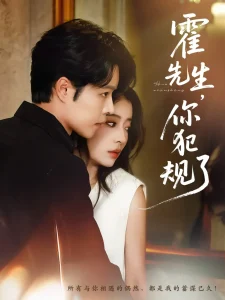 霍先生你犯规了