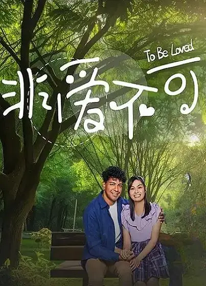 《非爱不可》全集高清完整版在线观看与剧情解析