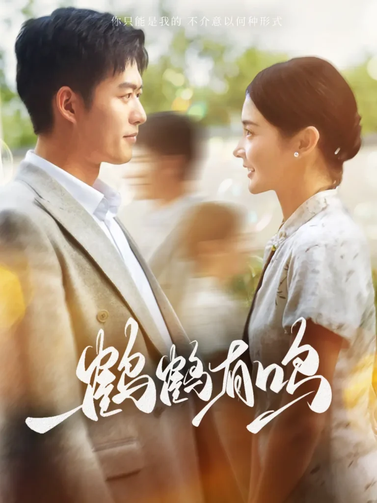 《鹤鹤有鸣》全集高清完整版在线观看与剧情解析